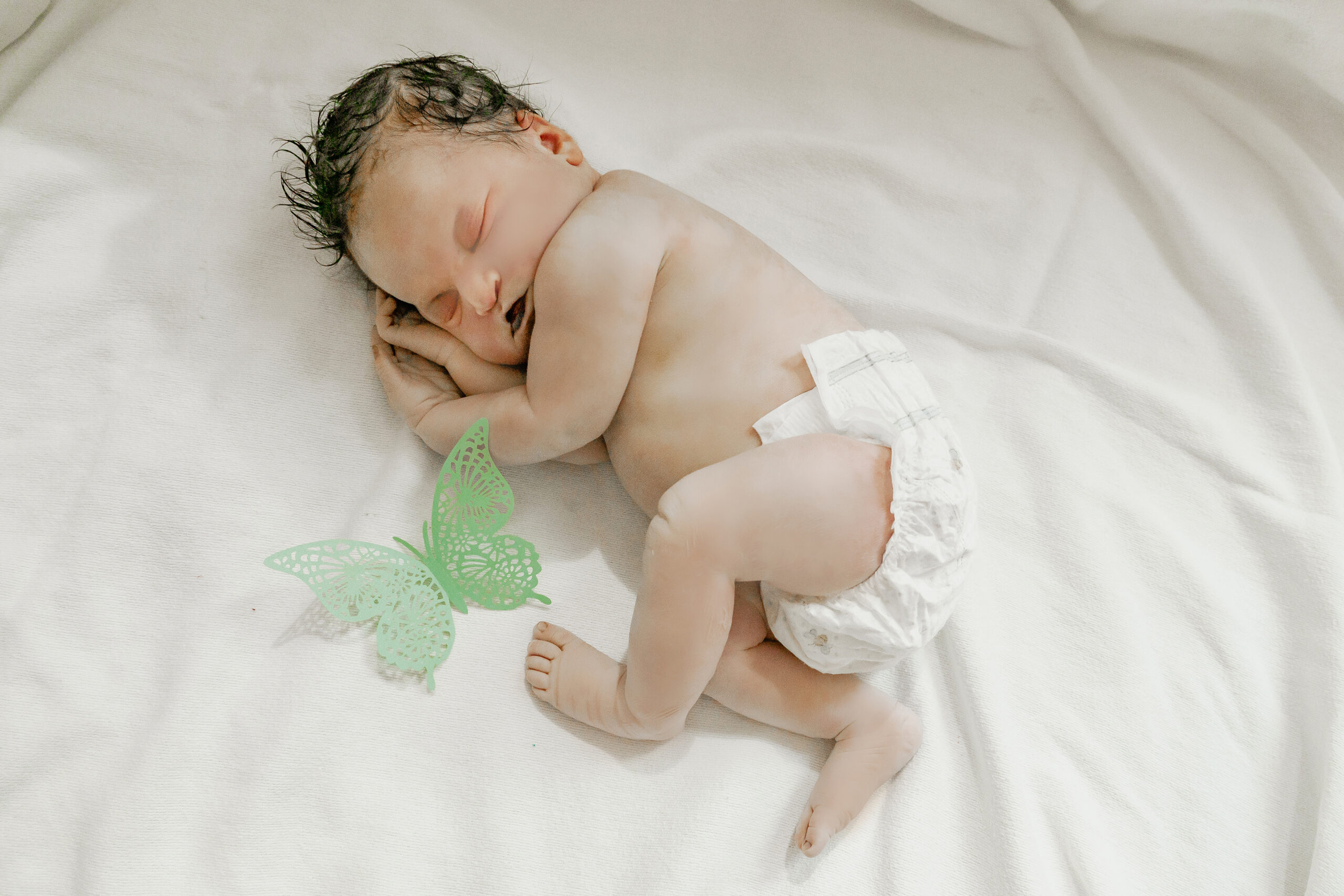 tinyla2